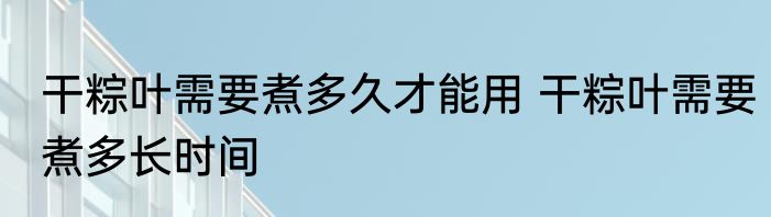 干粽叶需要煮多久才能用 干粽叶需要煮多长时间