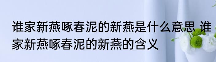 谁家新燕啄春泥的新燕是什么意思 谁家新燕啄春泥的新燕的含义