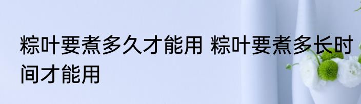 粽叶要煮多久才能用 粽叶要煮多长时间才能用