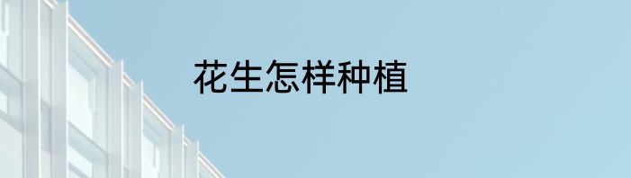 花生怎样种植