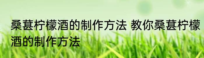 桑葚柠檬酒的制作方法 教你桑葚柠檬酒的制作方法