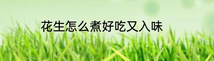 花生怎么煮好吃又入味