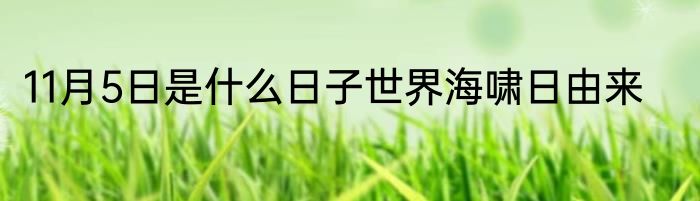11月5日是什么日子世界海啸日由来