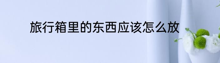 旅行箱里的东西应该怎么放