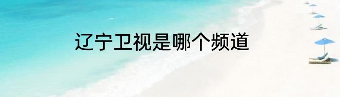辽宁卫视是哪个频道