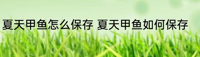夏天甲鱼怎么保存 夏天甲鱼如何保存