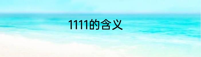 1111的含义