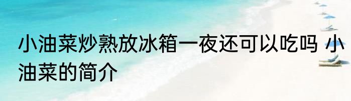 小油菜炒熟放冰箱一夜还可以吃吗 小油菜的简介