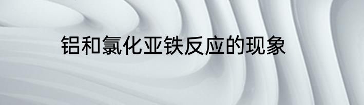 铝和氯化亚铁反应的现象