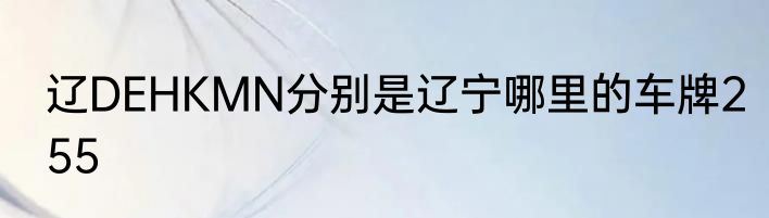 辽DEHKMN分别是辽宁哪里的车牌255