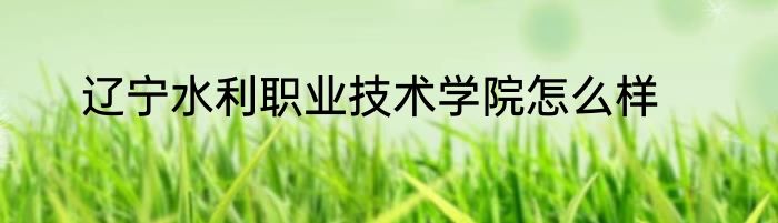 辽宁水利职业技术学院怎么样