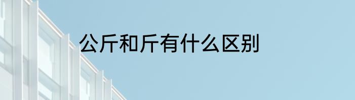 公斤和斤有什么区别