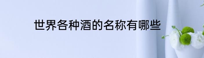 世界各种酒的名称有哪些