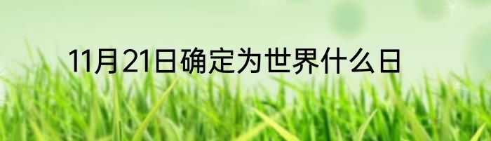11月21日确定为世界什么日