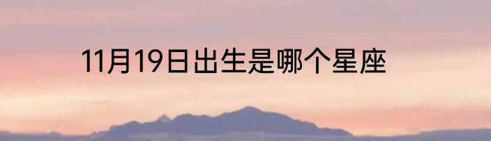 11月19日出生是哪个星座