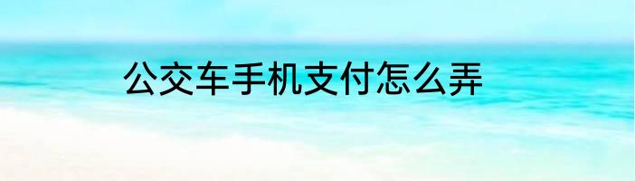 公交车手机支付怎么弄