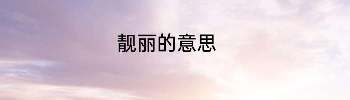 靓丽的意思