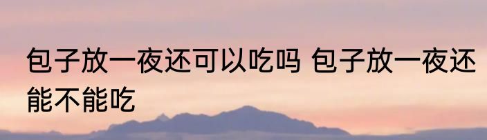 包子放一夜还可以吃吗 包子放一夜还能不能吃