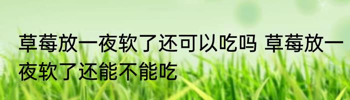 草莓放一夜软了还可以吃吗 草莓放一夜软了还能不能吃