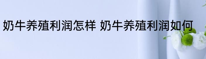 奶牛养殖利润怎样 奶牛养殖利润如何
