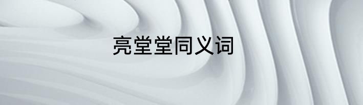亮堂堂同义词