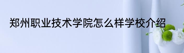 郑州职业技术学院怎么样学校介绍