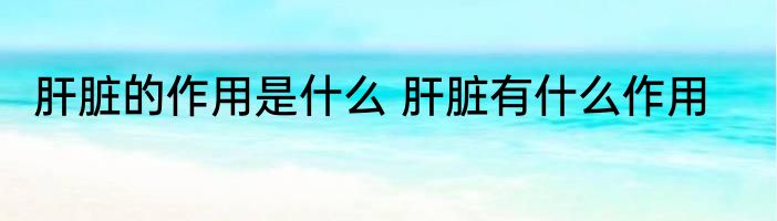 肝脏的作用是什么 肝脏有什么作用