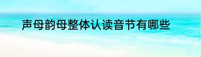 声母韵母整体认读音节有哪些