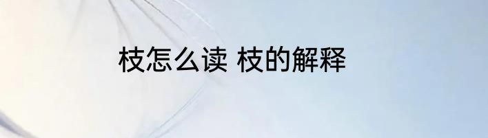 枝怎么读 枝的解释