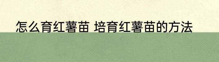 怎么育红薯苗 培育红薯苗的方法