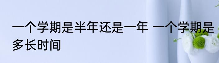 一个学期是半年还是一年 一个学期是多长时间