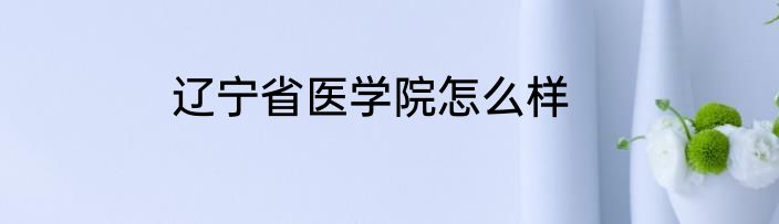 辽宁省医学院怎么样