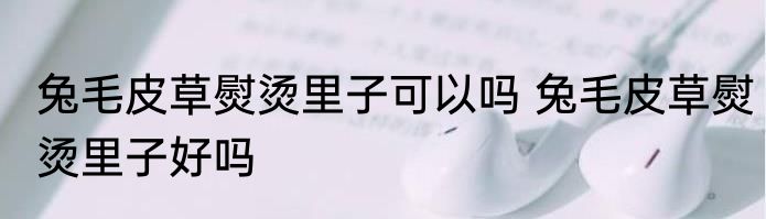 兔毛皮草熨烫里子可以吗 兔毛皮草熨烫里子好吗