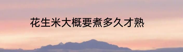 花生米大概要煮多久才熟