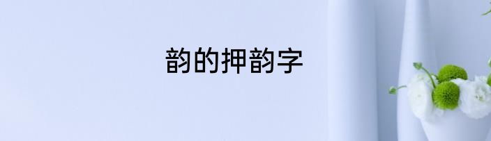 韵的押韵字