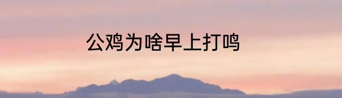公鸡为啥早上打鸣