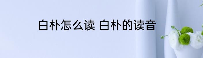 白朴怎么读 白朴的读音
