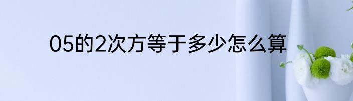 05的2次方等于多少怎么算