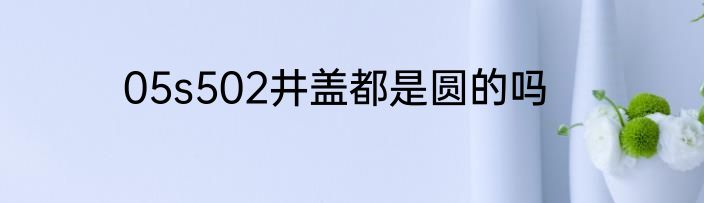 05s502井盖都是圆的吗