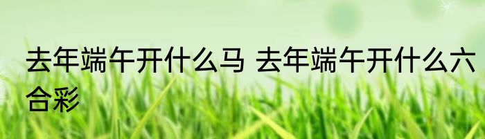 去年端午开什么马 去年端午开什么六合彩