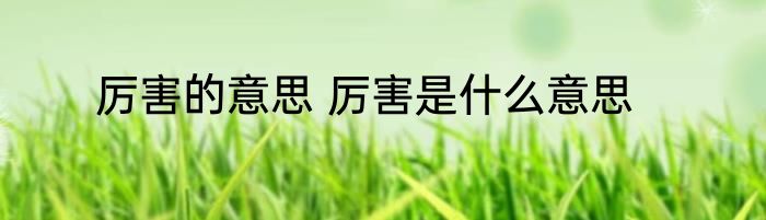 厉害的意思 厉害是什么意思