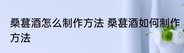 桑葚酒怎么制作方法 桑葚酒如何制作方法
