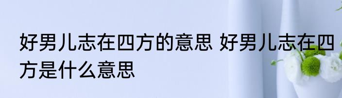 好男儿志在四方的意思 好男儿志在四方是什么意思