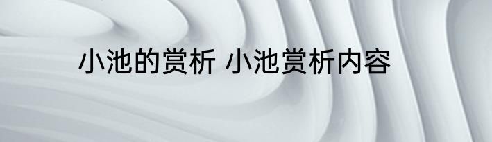 小池的赏析 小池赏析内容