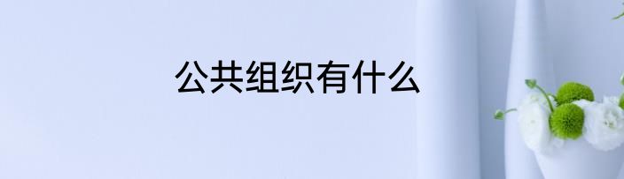 公共组织有什么