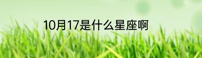 10月17是什么星座啊