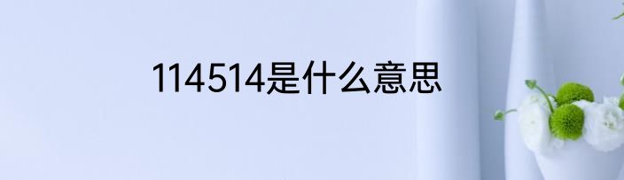 114514是什么意思