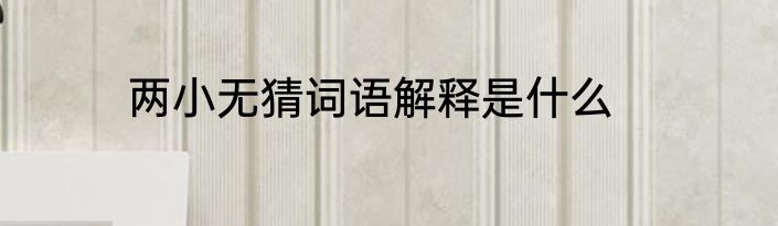 两小无猜词语解释是什么