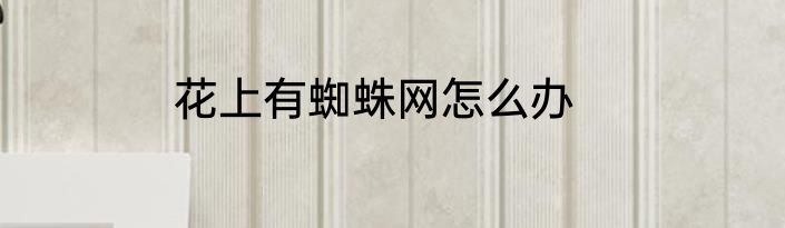 花上有蜘蛛网怎么办