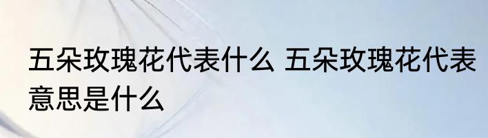 五朵玫瑰花代表什么 五朵玫瑰花代表意思是什么